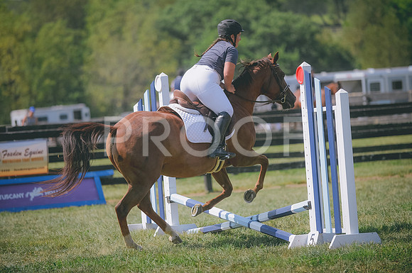 JJS_0381