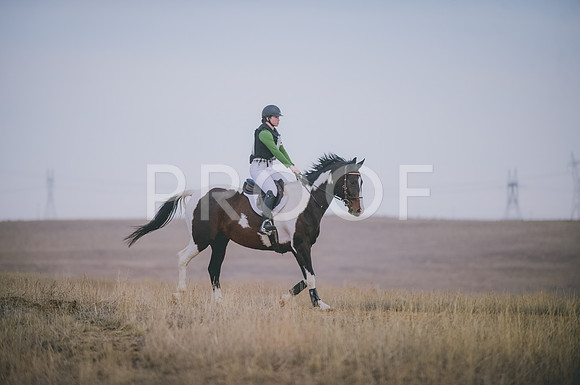 JJS_4198