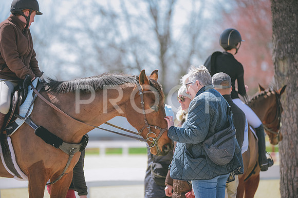 JJS_7403