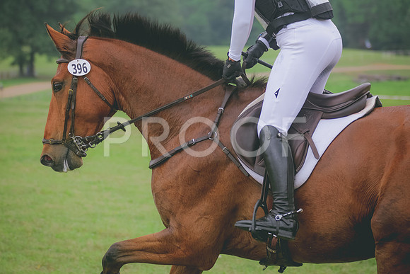 SWP_2597