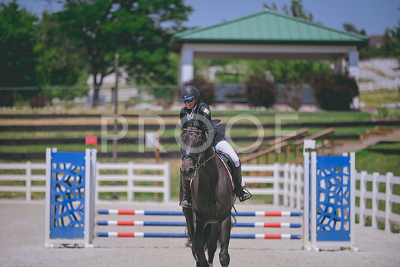 DSC_5313