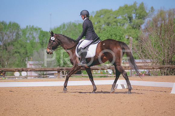 SWP_7468