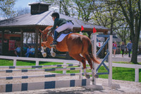 MEL_5392