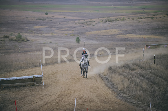 JJS_4114
