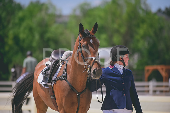 DSC_0948