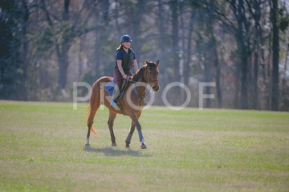JJS_2791