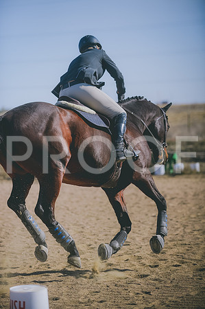 JJS_2789