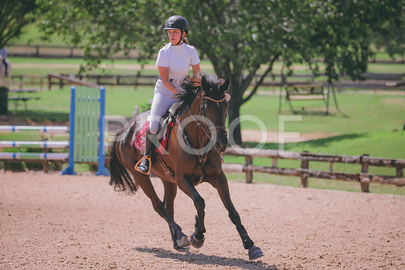 RWP_5299