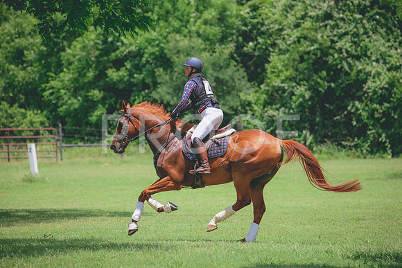 RWP_2936