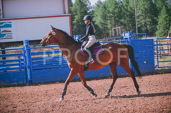 JJS_3878