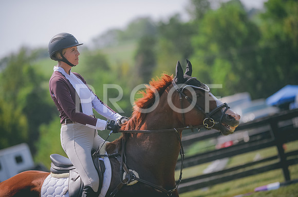 JJS_1487