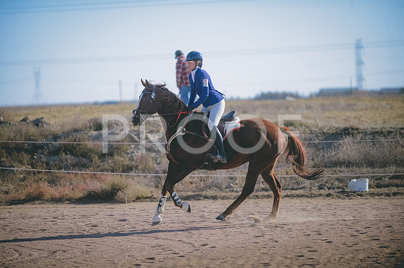 JJS_0300