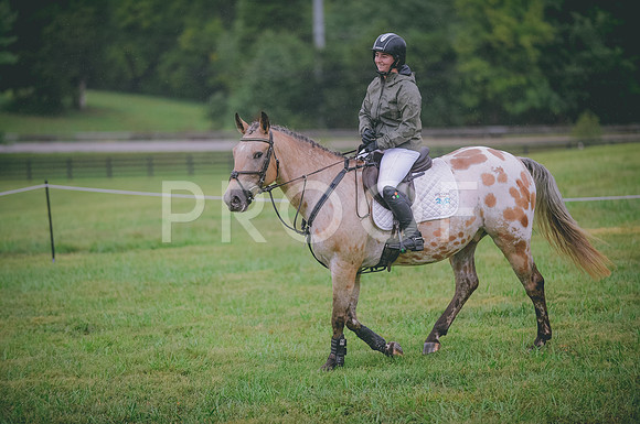 JJS_0090