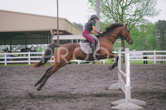 JJS_0657