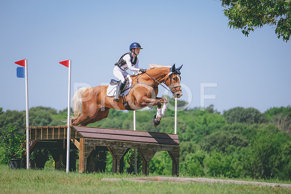 RWP_6419