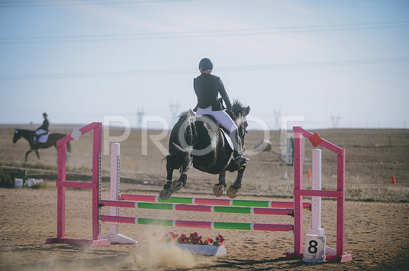 JJS_0838