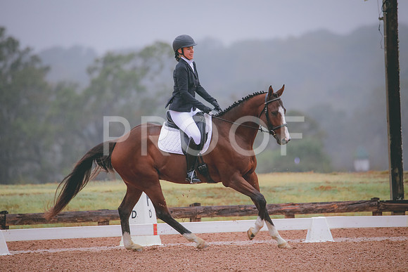RWP_0932