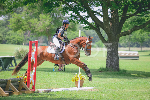 RWP_4234