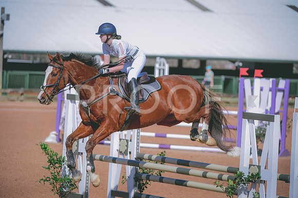 JJS_0331