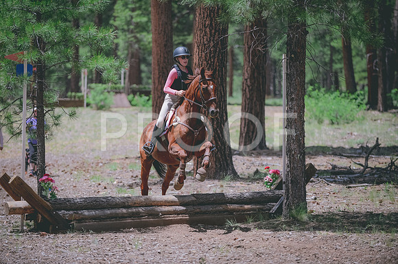 JJS_7972
