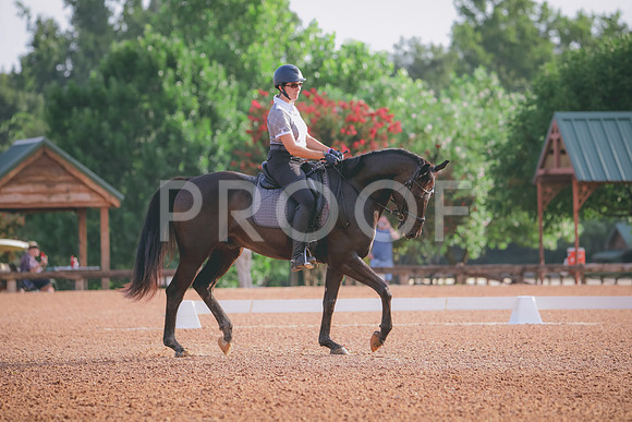 RWP_4246
