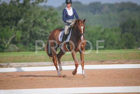 RWP_4437