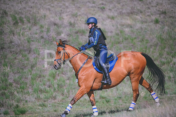 DSC_6679