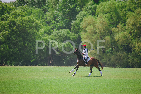 RWP_4617