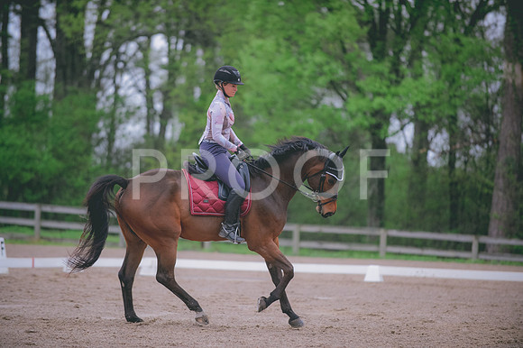 JJS_4551