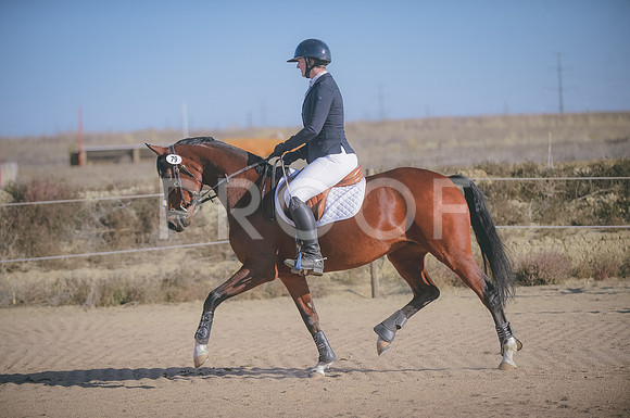 JJS_0085
