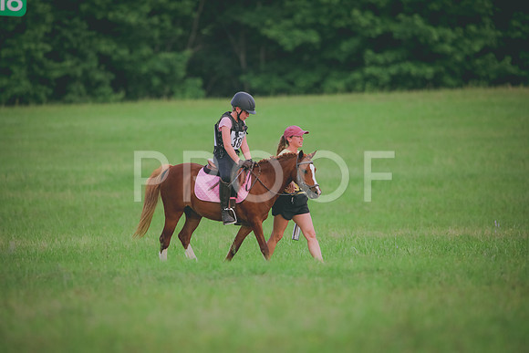 RWP_5219