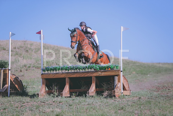 CDH_9517