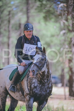 JJS_3384