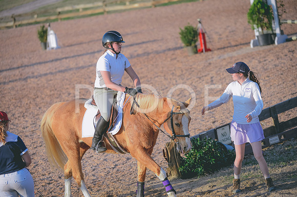 JJS_4812