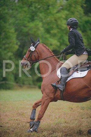 JJS_0584A