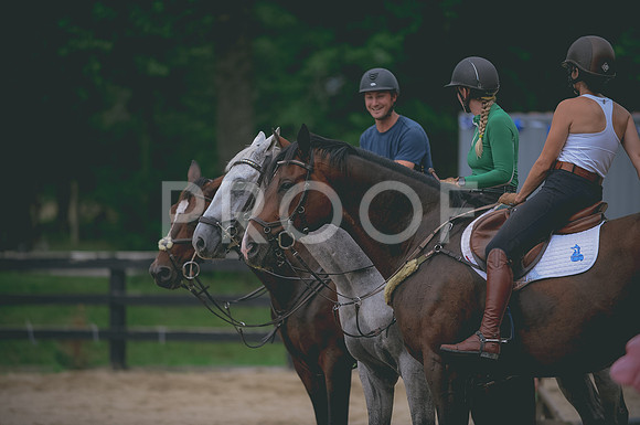 000_0655 copy