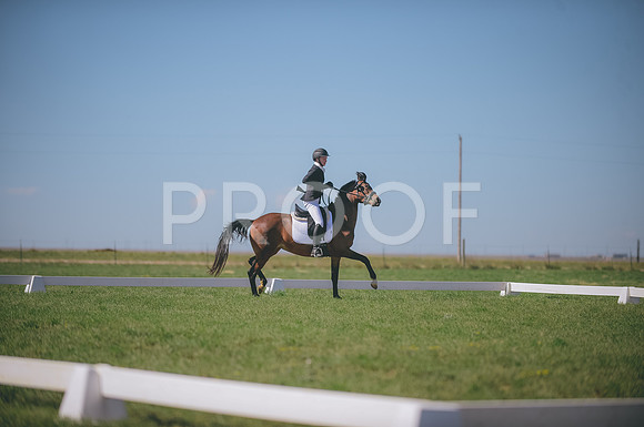 JJS_2446