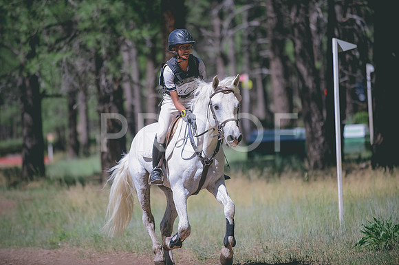 JJS_2823A