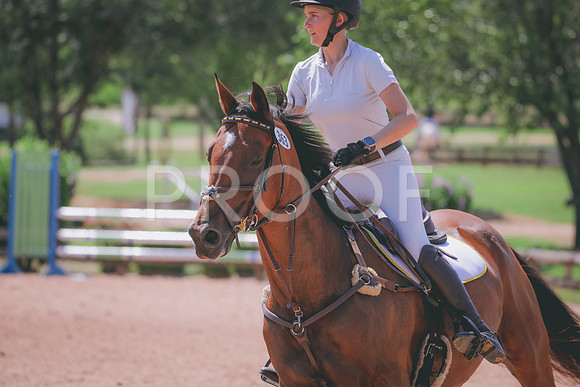 RWP_5278
