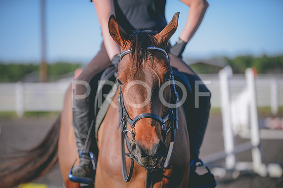 JJS_0691