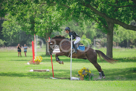 RWP_3299