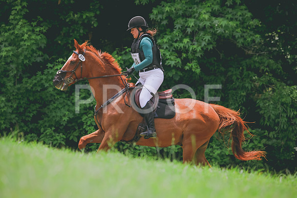 RWP_4699