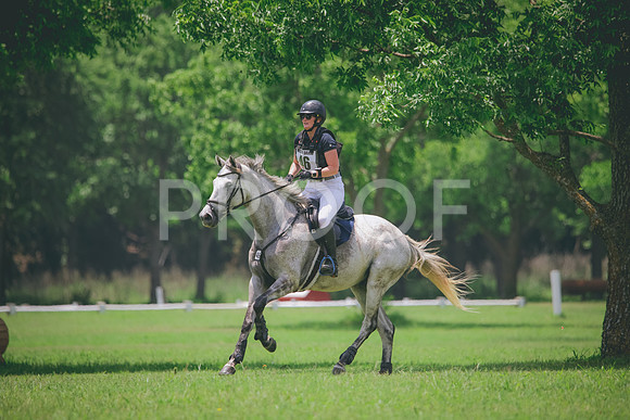 RWP_3155