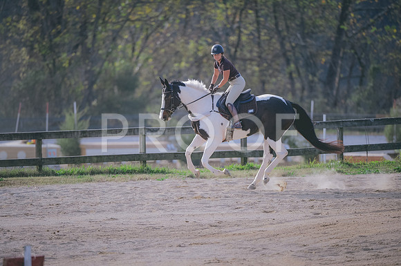 JJS_9285