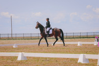 CLSL8200
