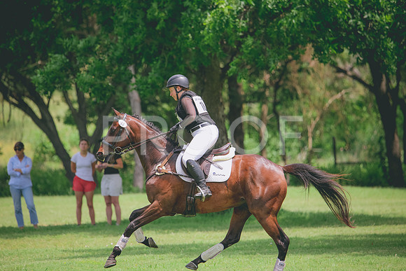 RWP_2014