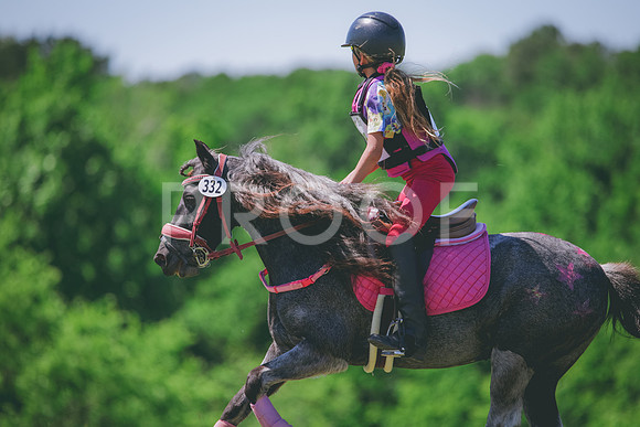 RWP_1141