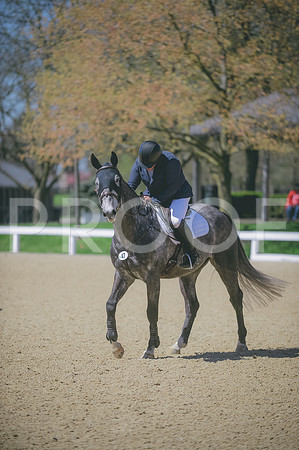 000_1338