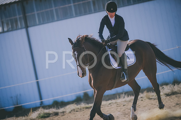 JJS_0690