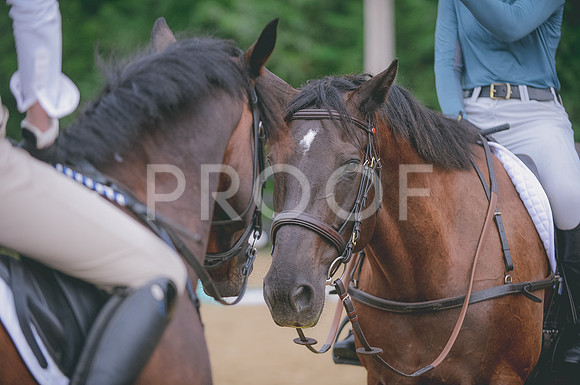 000_1893 copy